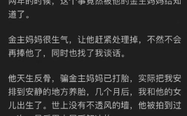 娱乐圈吃瓜有版权吗知乎,版权边界与网络文化的碰撞