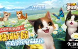 小猫爱娱乐,揭秘萌宠的欢乐生活
